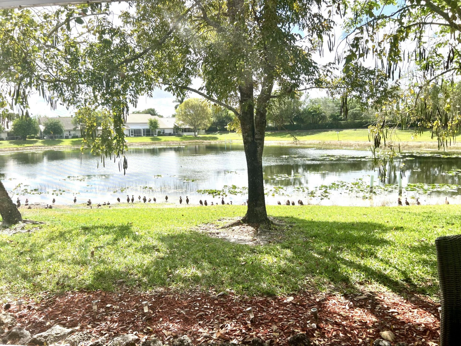 10614 Lake Shore Drive, Wellington, FL 33414 Photo