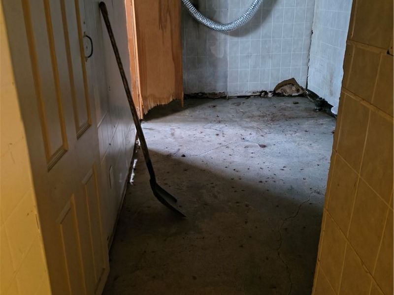 21104 Clare Avenue, Maple Heights, OH 44137 Photo 25