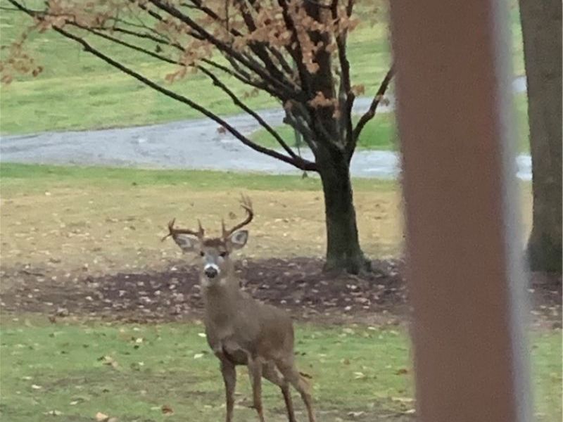 3359 Schneiders Crossing Road NW, Dover, OH 44622 Photo 32