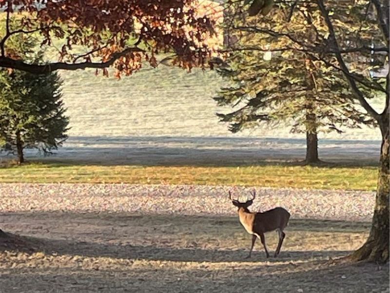 3359 Schneiders Crossing Road NW, Dover, OH 44622 Photo 33