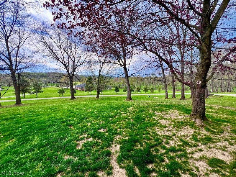 3359 Schneiders Crossing Road NW, Dover, OH 44622 Photo 5