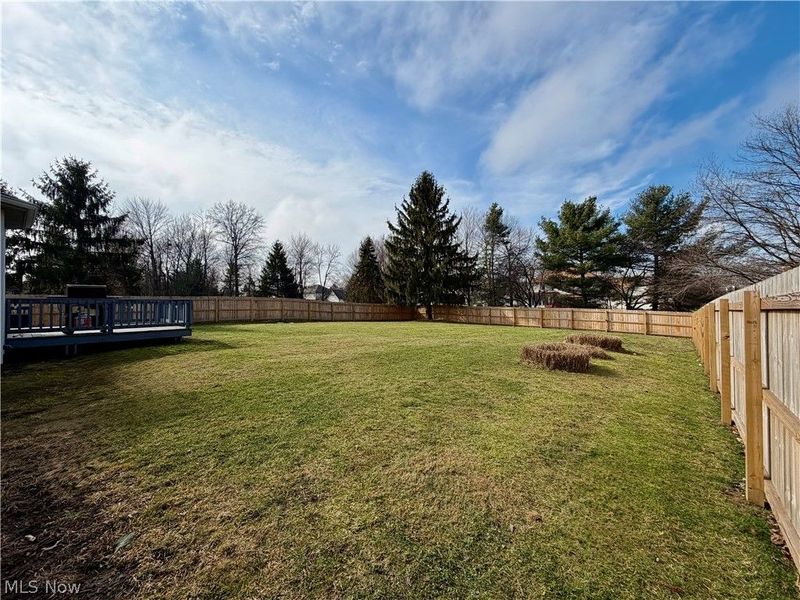 608 Dewitt Drive, Highland Heights, OH 44143 Photo 48