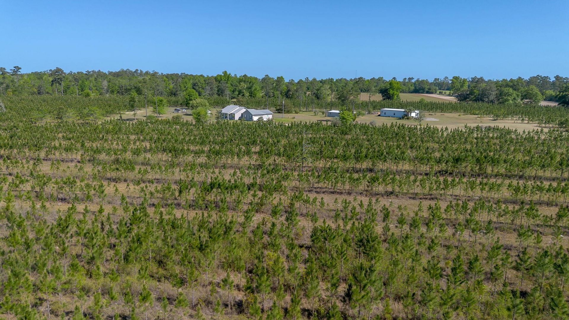 505 Goodson Road , Quincy, FL 32351 Photo