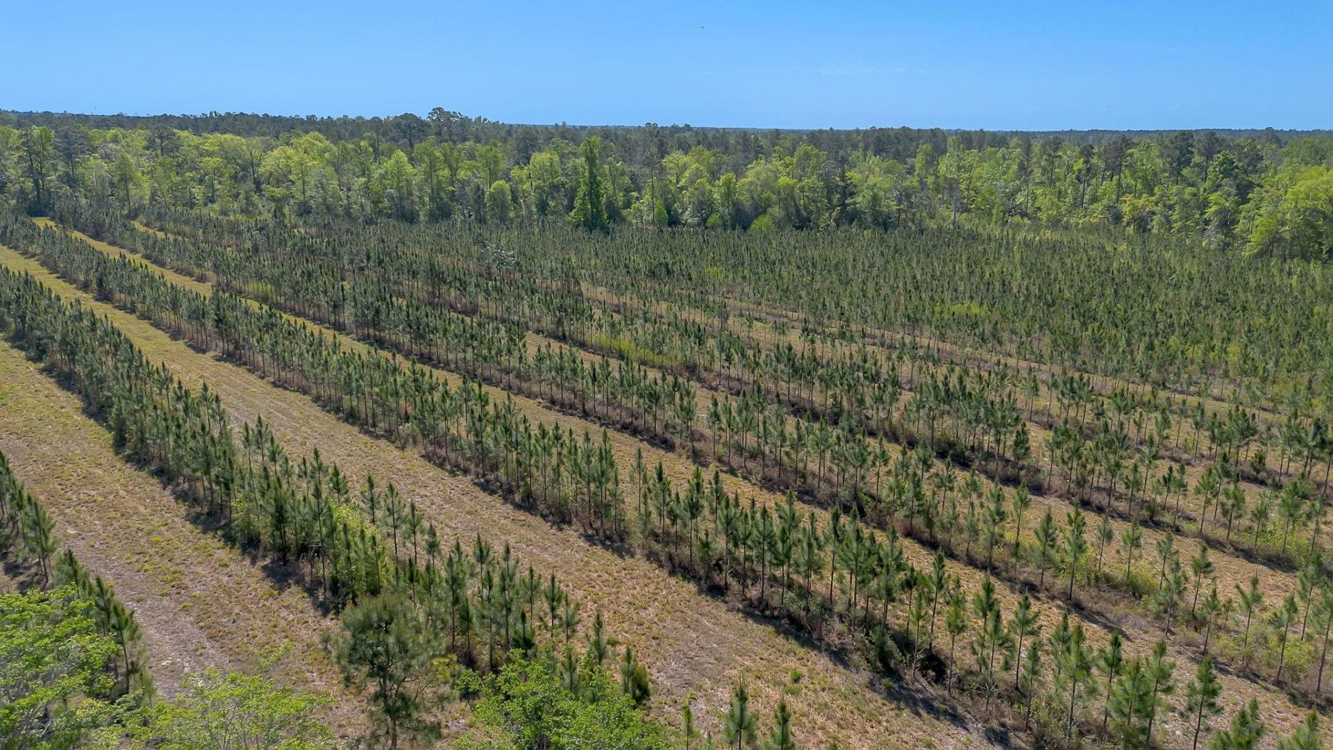 505 Goodson Road , Quincy, FL 32351 Photo