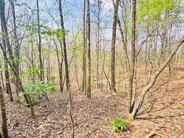 0 T Johnson Road, Ranger, GA 30734