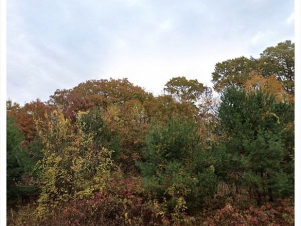 119 Independent Ln, Ashland, MA 01721