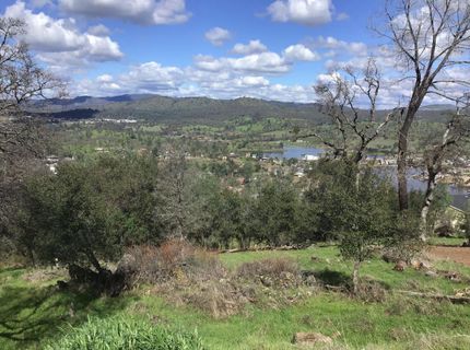 5025 Fong Dr, Copperopolis, CA 95228 Photo