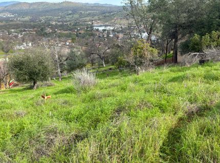 5025 Fong Dr, Copperopolis, CA 95228 Photo