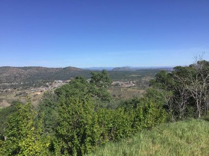 5025 Fong Dr, Copperopolis, CA 95228 Photo