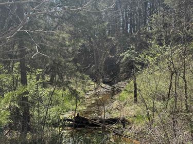 0 Cedar Creek Lane, Ashland, NE 68003