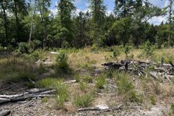 446 Marsh Road photo 4