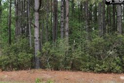 446 Marsh Road  photo 4