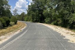 446 Marsh Road photo 4
