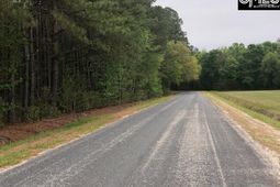 446 Marsh Road  photo 4