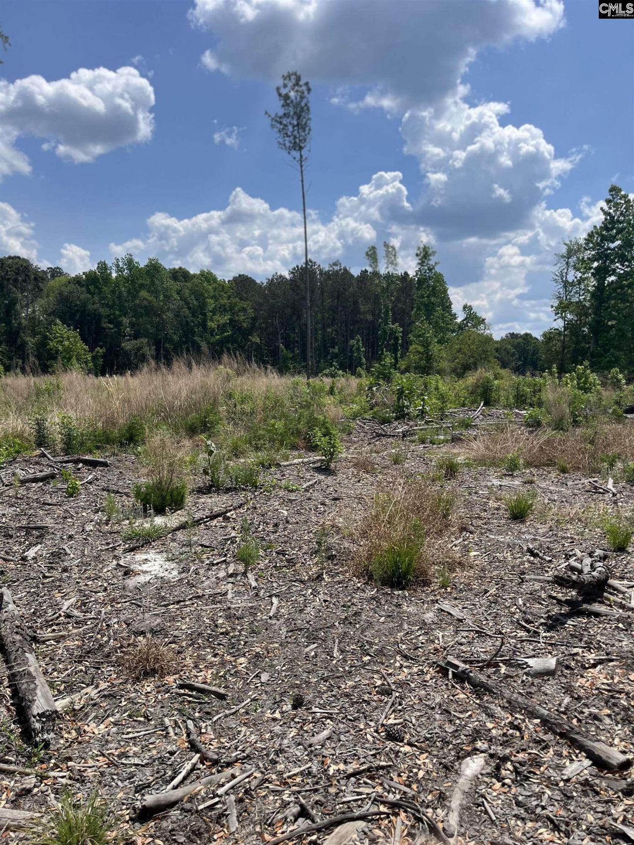 446 Marsh Road Photo 5