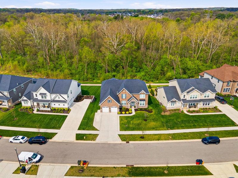 6007 Willow Aster Glen, Grove City, OH 43123 Photo 107