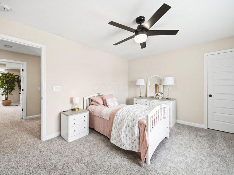 6007 Willow Aster Glen, Grove City, OH 43123 Photo 65