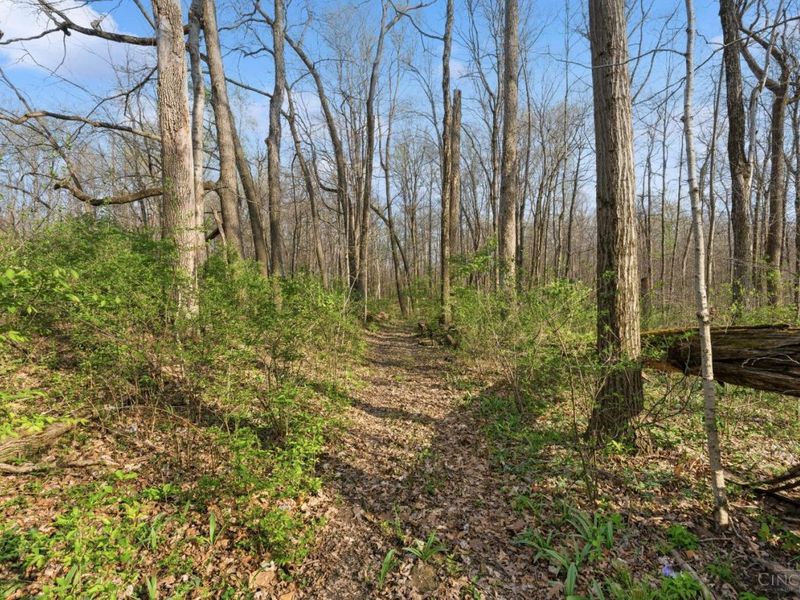 1435 Halpin Road, Clarksville, OH 45113 Photo 30