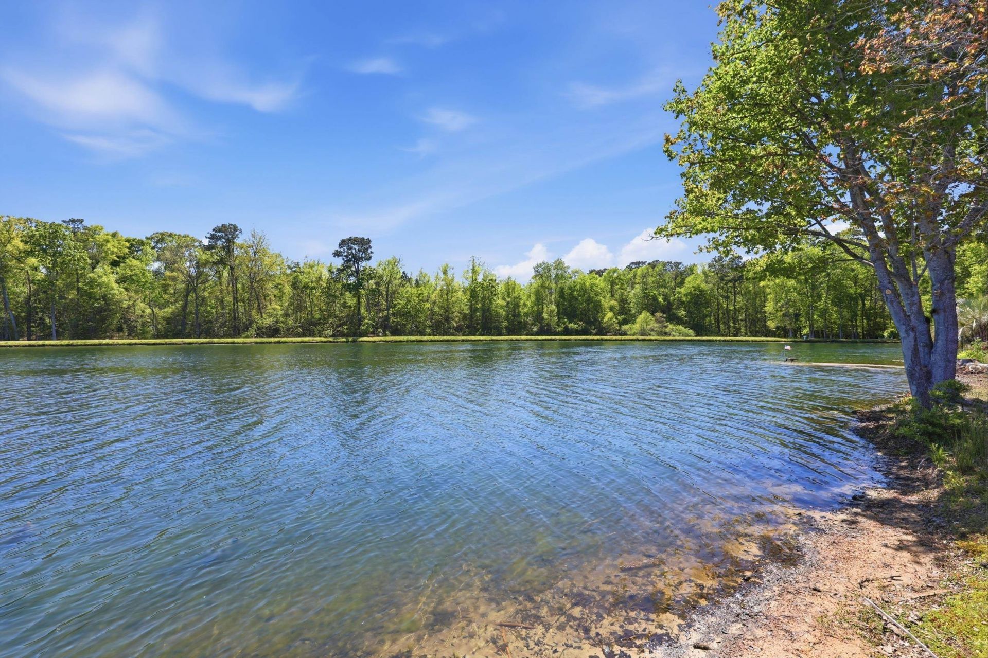 2562 Lake Vista Dr.  Photo 49