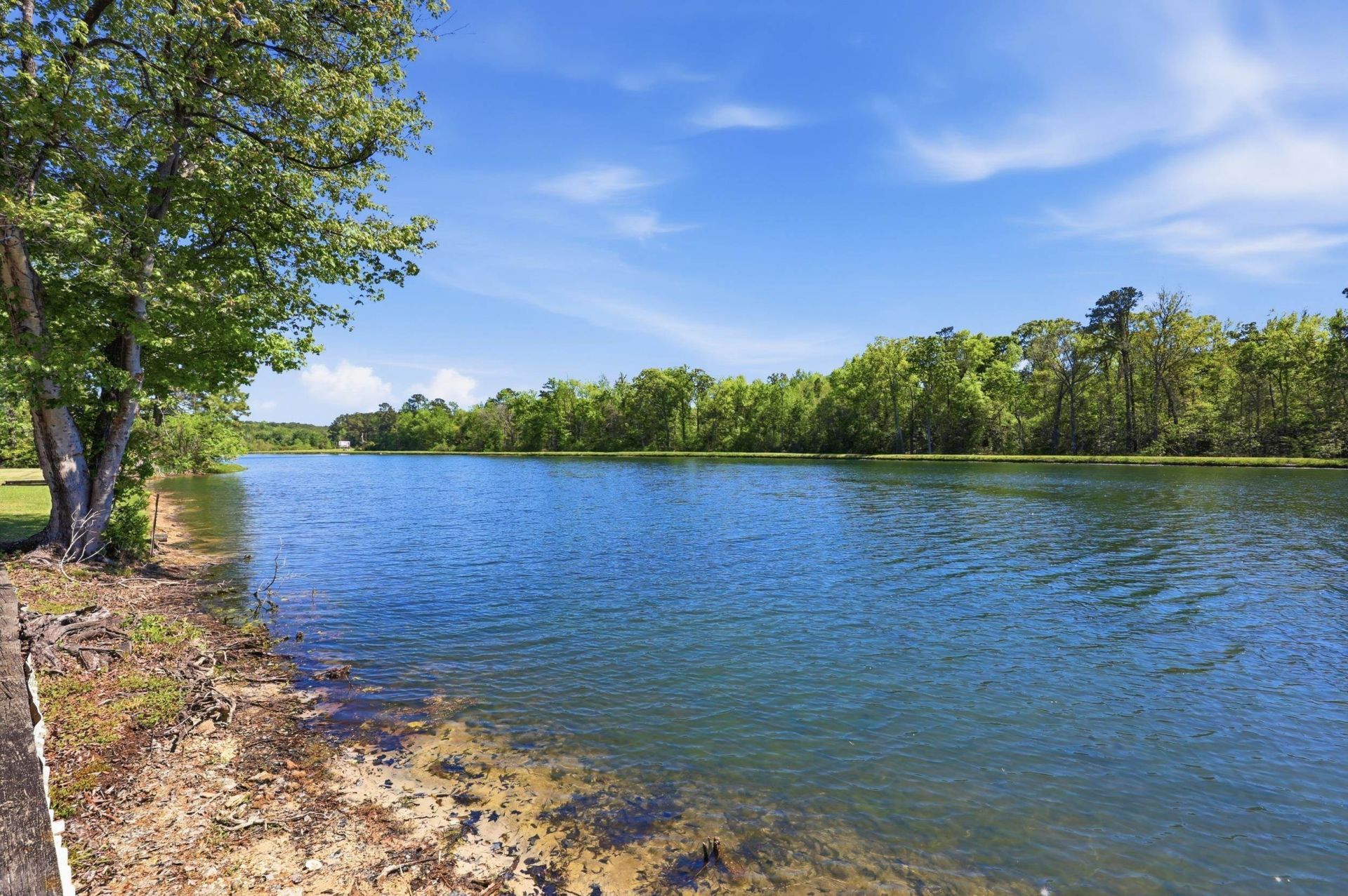 2562 Lake Vista Dr.  Photo 50