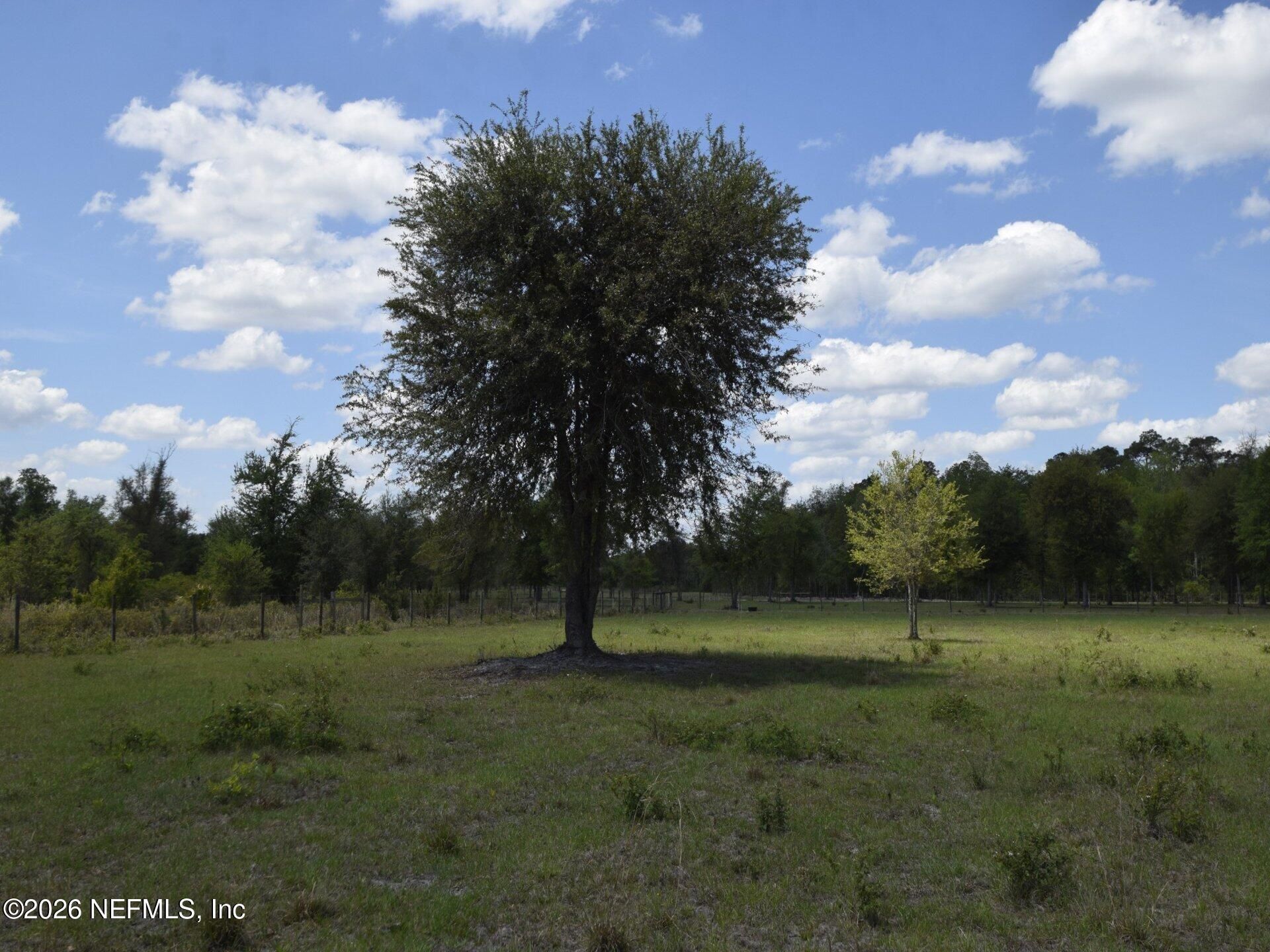 18126 County Road 121, Bryceville, FL 32009 Photo