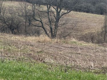 State Hwy 23, Pitcher, NY 13801