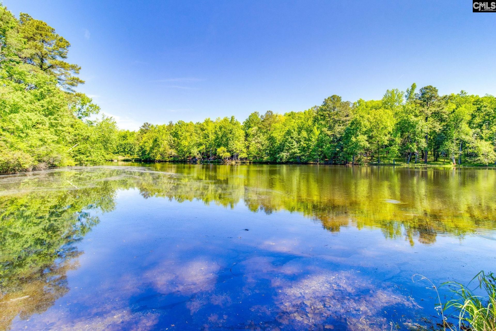 1016 Old Birch Photo 48