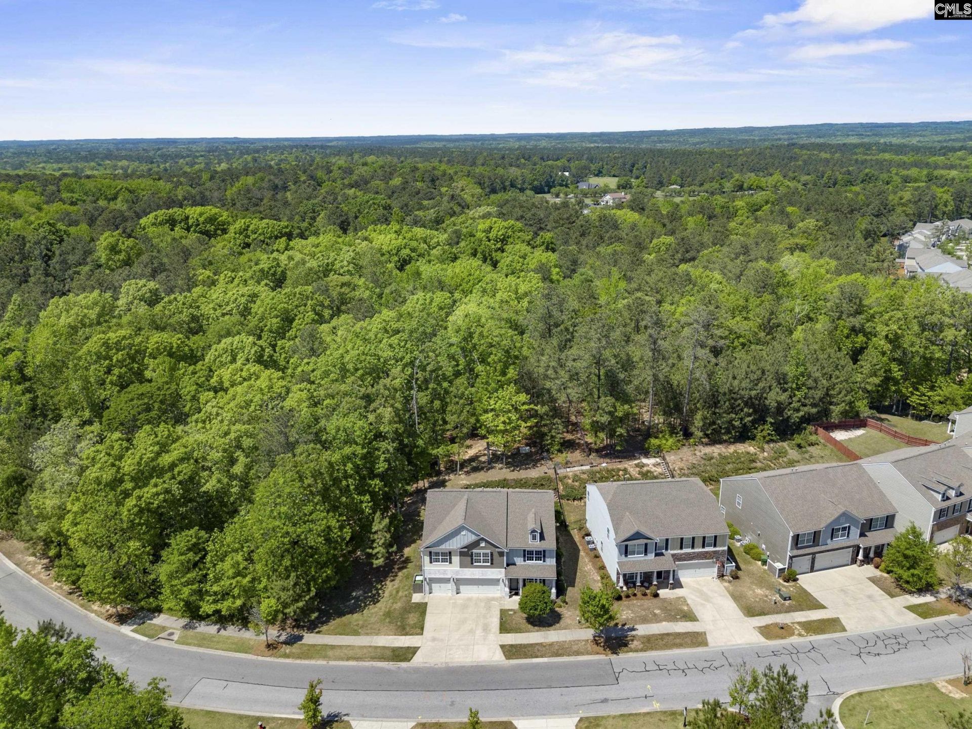 1025 Primrose Drive  Photo 54