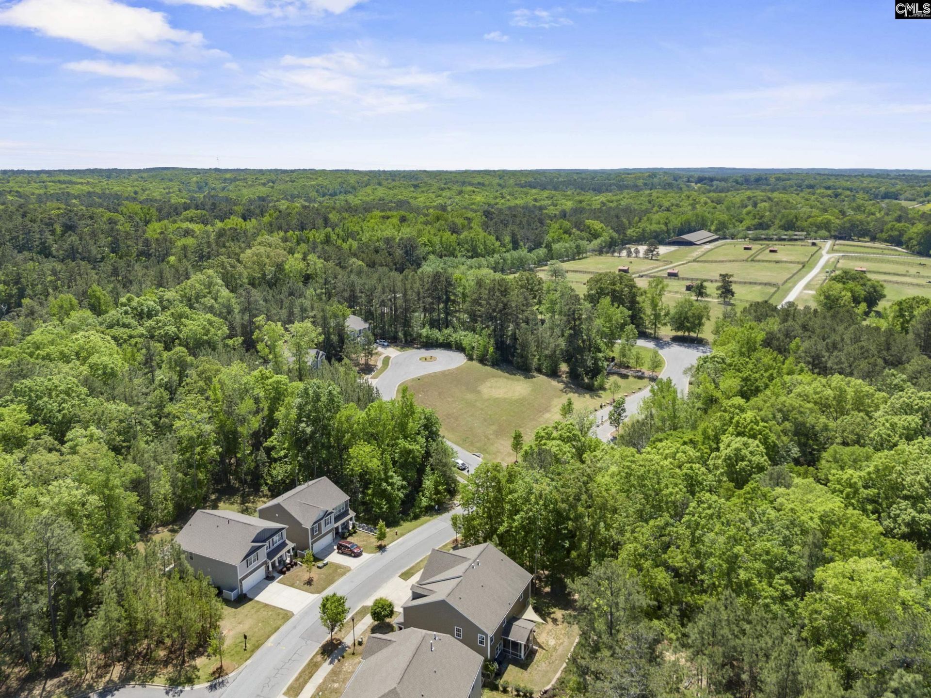 1025 Primrose Drive  Photo 59