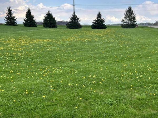 Ryan Road, Unit Lot 12, Marcellus, MI 49067