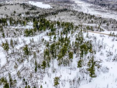 25524 Smokey Hollow Drive, Laporte, MN 56461