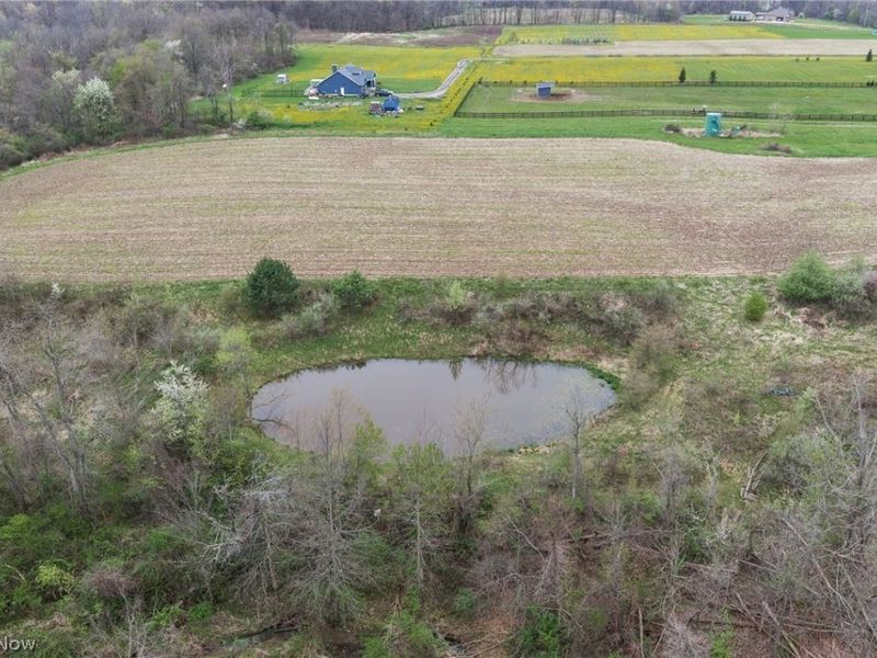 4144 Greenwich Road, Seville, OH 44273 Photo 4