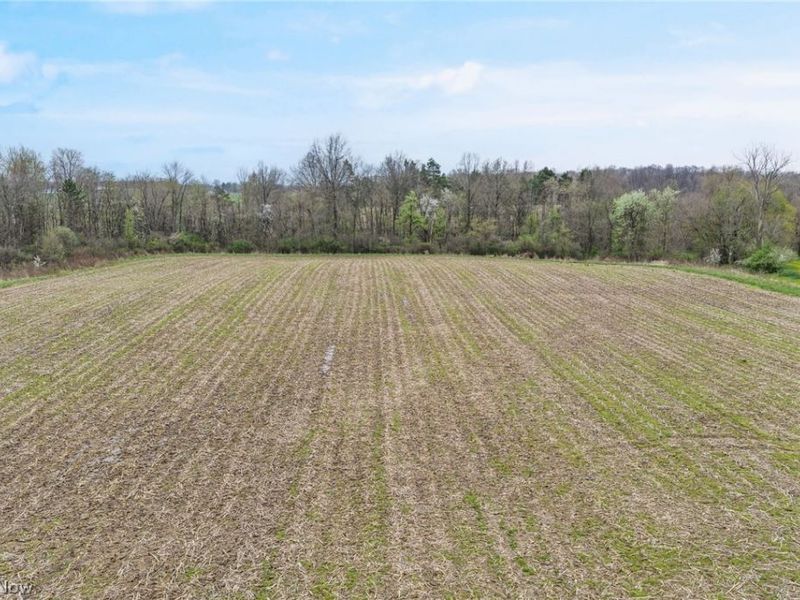 4144 Greenwich Road, Seville, OH 44273 Photo 5