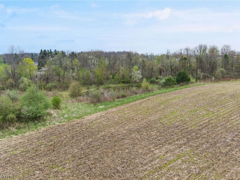 4144 Greenwich Road, Seville, OH 44273 Photo 6