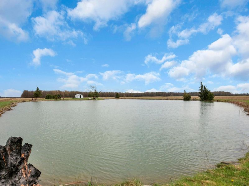 141 State Route 60 , New London, OH 44851 Photo 136