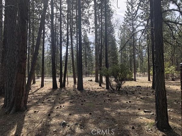 0 Red Cedar Ct, Etna, CA 96027