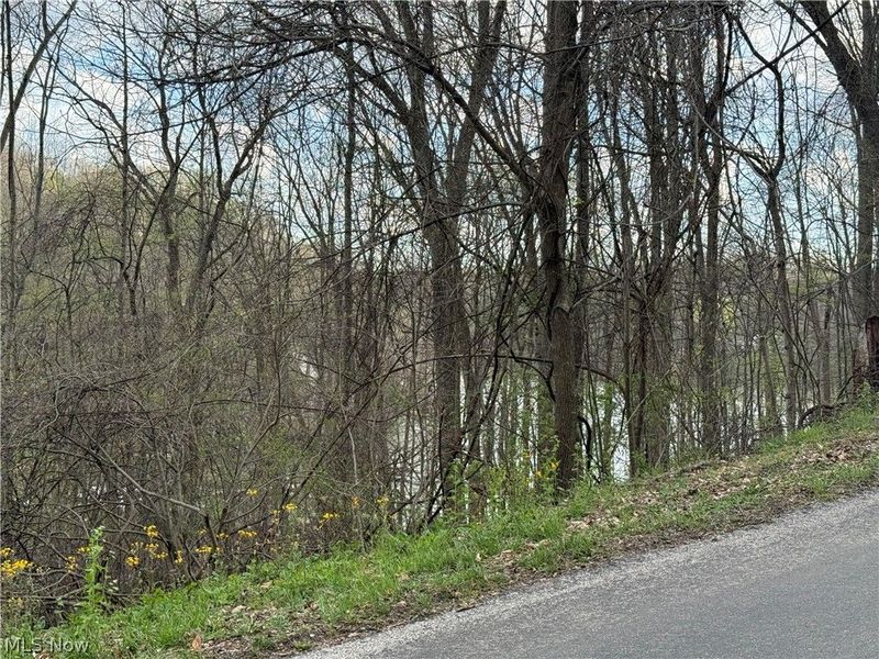 1524-1527 E Buckhorn Drive, Millersburg, OH 44654 Photo 12