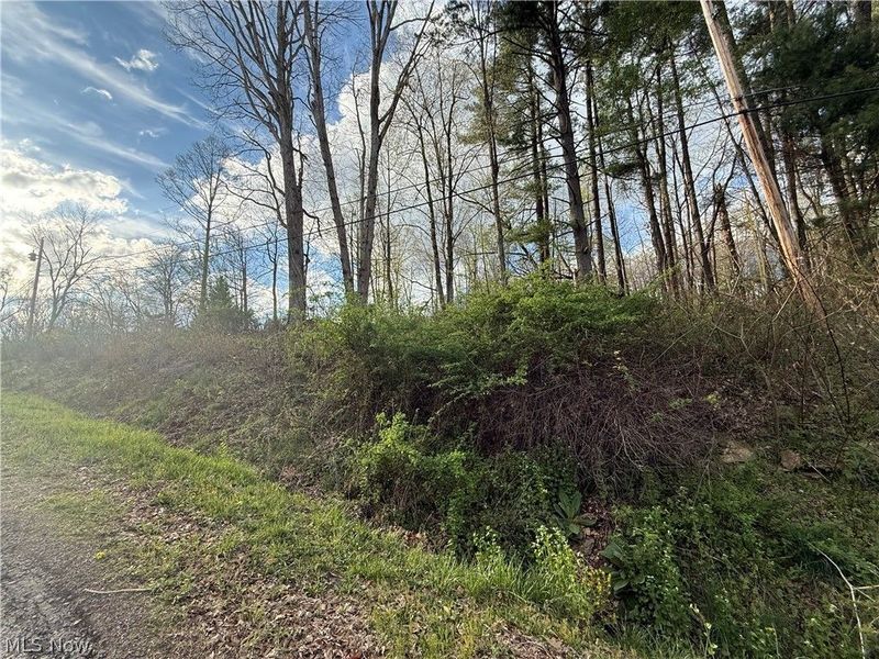 1524-1527 E Buckhorn Drive, Millersburg, OH 44654 Photo 14