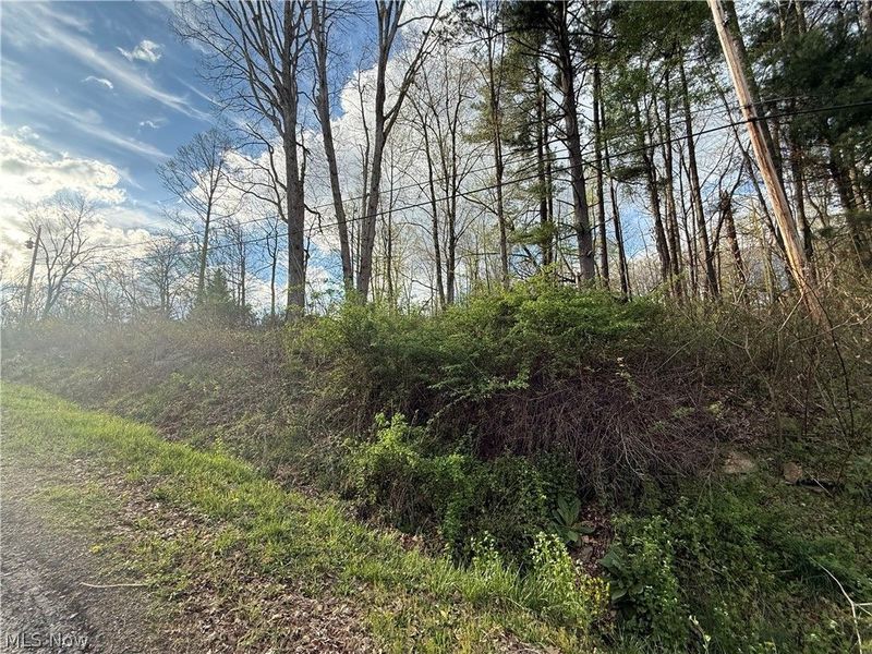 1524-1527 E Buckhorn Drive, Millersburg, OH 44654 Photo 15