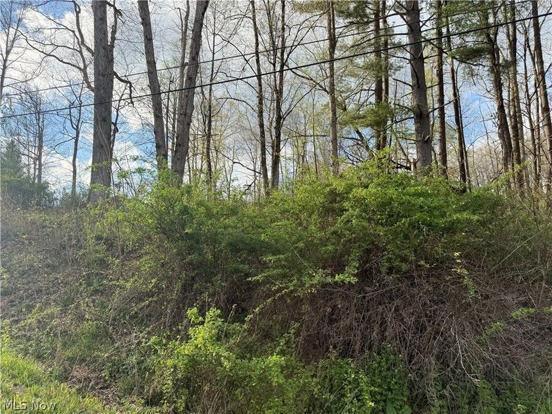 1524-1527 E Buckhorn Drive, Millersburg, OH 44654 Photo 16