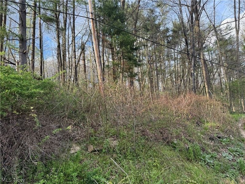 1524-1527 E Buckhorn Drive, Millersburg, OH 44654 Photo 17