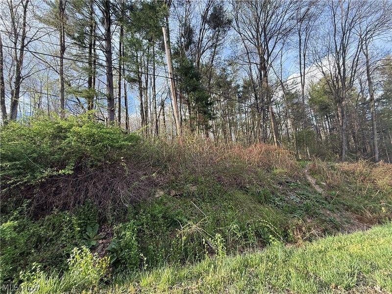 1524-1527 E Buckhorn Drive, Millersburg, OH 44654 Photo 18