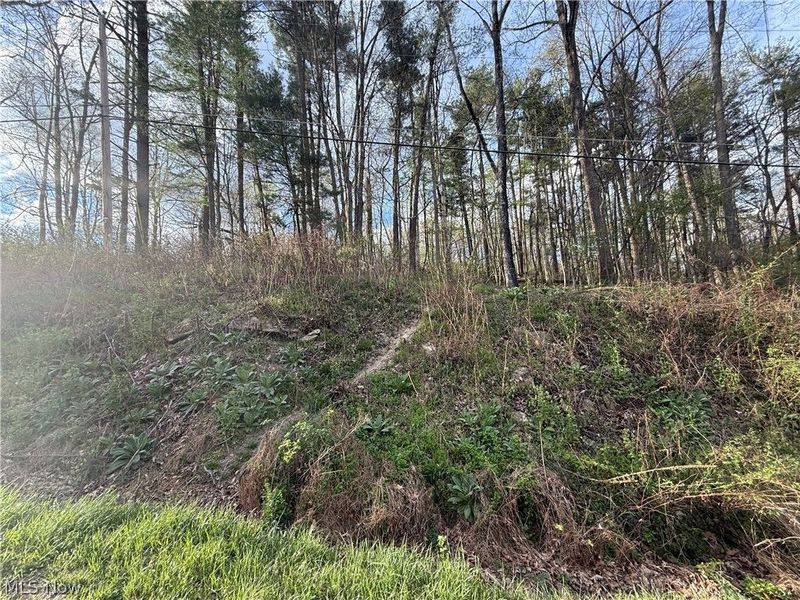 1524-1527 E Buckhorn Drive, Millersburg, OH 44654 Photo 19