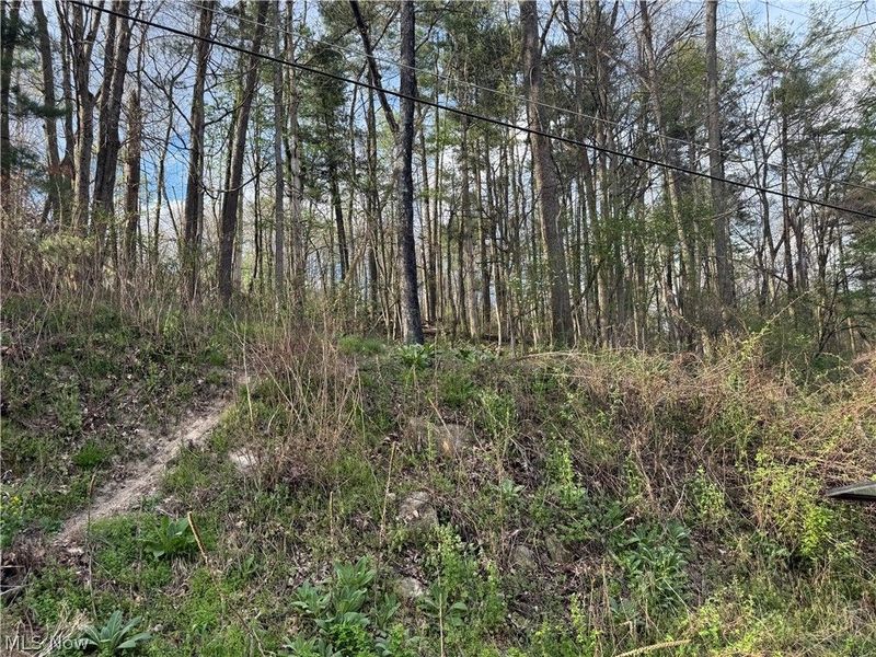 1524-1527 E Buckhorn Drive, Millersburg, OH 44654 Photo 20