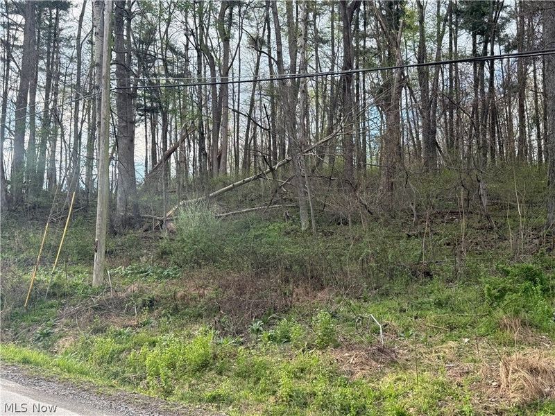 1524-1527 E Buckhorn Drive, Millersburg, OH 44654 Photo 22