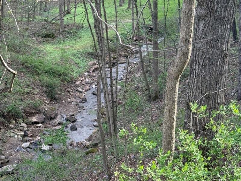 1524-1527 E Buckhorn Drive, Millersburg, OH 44654 Photo 23