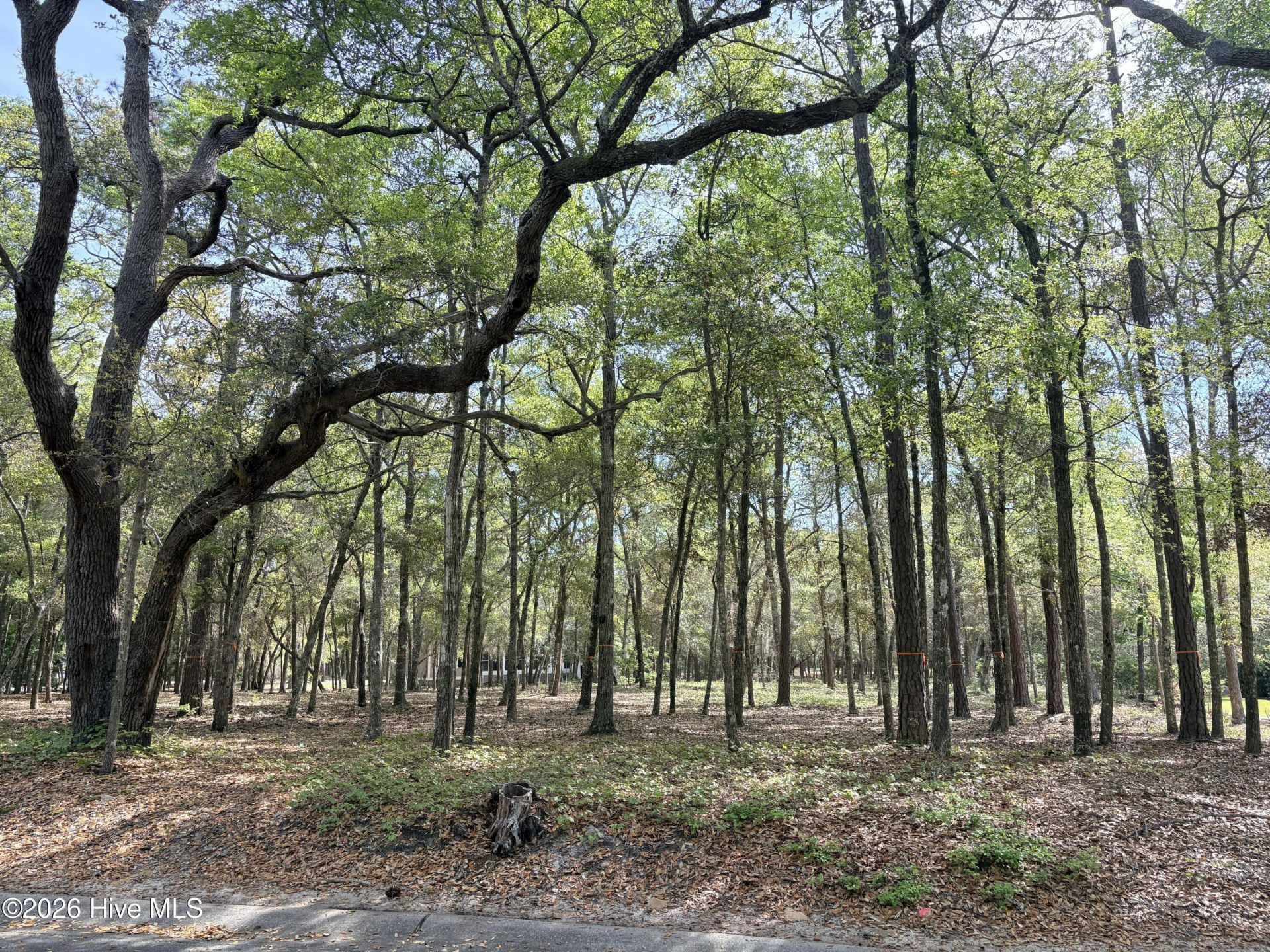 3456 Concordia Avenue Sw, Supply, NC 28462 Main Photo