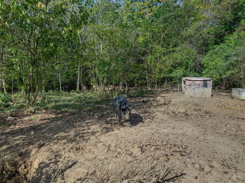 6227 Roudebush Road, Wayne Twp, OH 45122 Photo 36