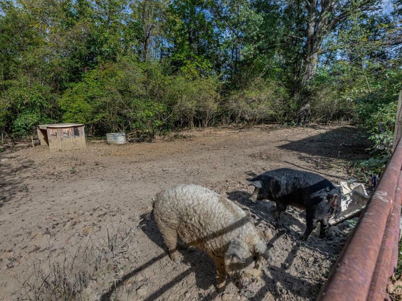 6227 Roudebush Road, Wayne Twp, OH 45122 Photo 37