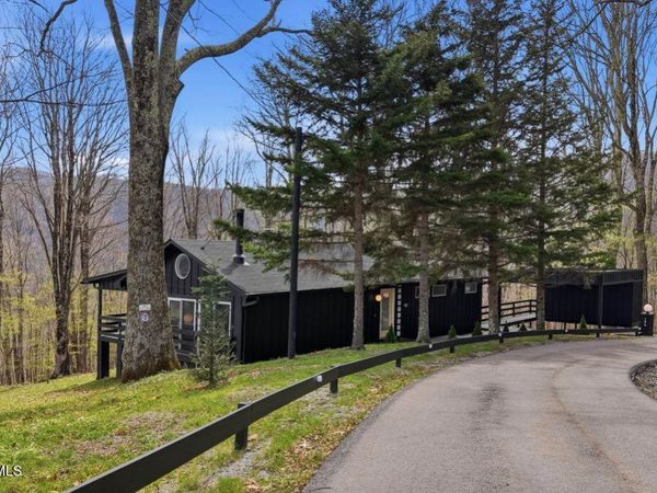195 Log Cabin Lane, Roan Mountain, TN 37687